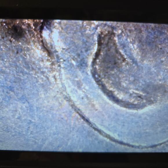 READ 1969-D/D 10C RPM FS-501 Roosevelt Dime Double Ear In COD We Trust Errors - Picture 6 of 10